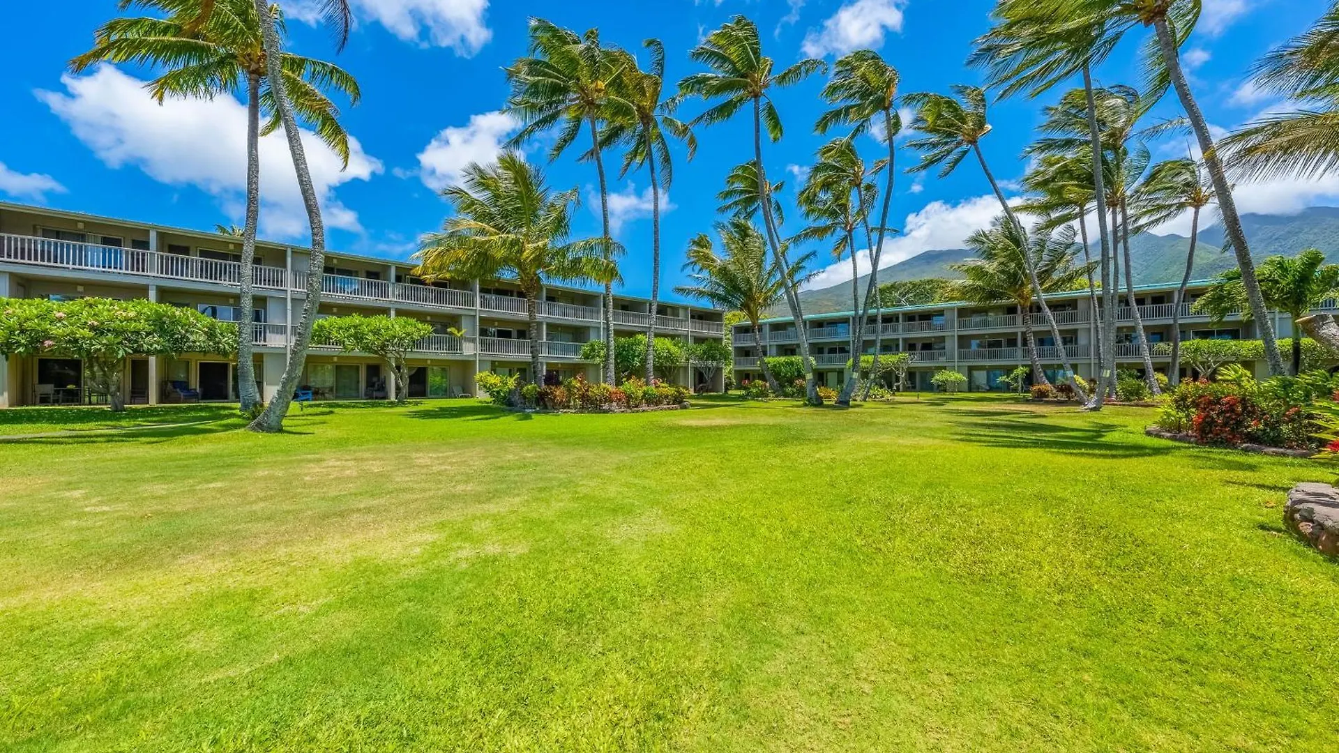 Wavecrest Apartment Kaunakakai United States